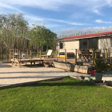 Tiny House Sur La Cote D'Azur Villa Hyères Eksteriør billede