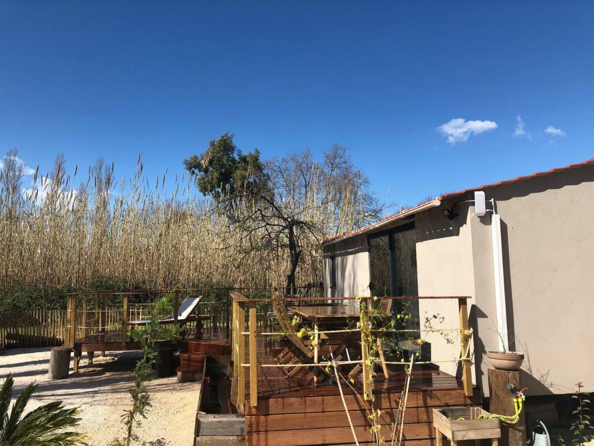 Tiny House Sur La Cote D'Azur Villa Hyères Eksteriør billede